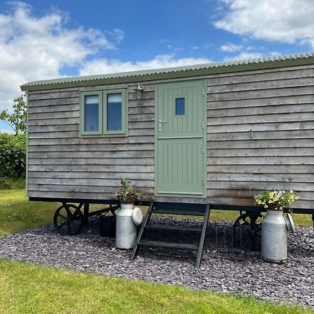 The Woolly Sheep Shepherd Huts Whitland Esterno foto