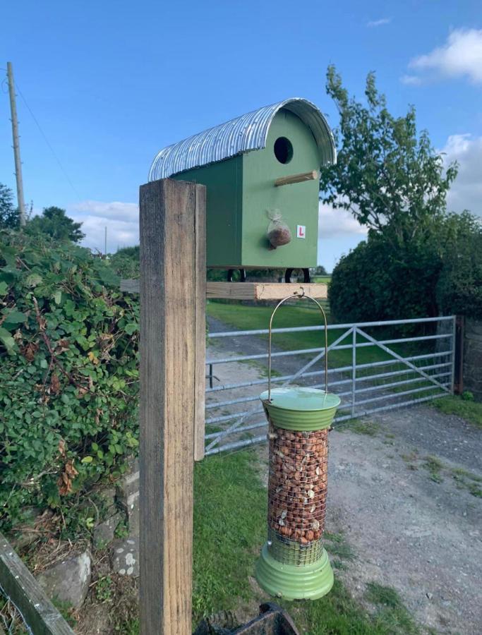 The Woolly Sheep Shepherd Huts Whitland Esterno foto